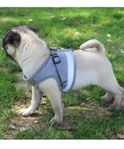 Vest Style Reflective Dog Rope