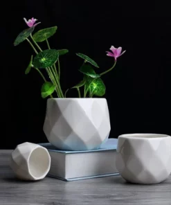 Ceramic Diamond Planter For Indoor Plants