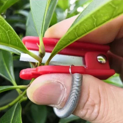 Multi-Use Thumb Knife For Fruits & Vegetable Harvesting