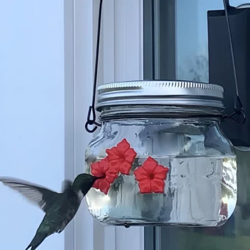 Hummingbird Feeder ප්ලාස්ටික් මල් කුරුළු පෝෂක
