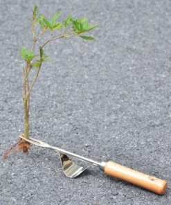 weed remover tool