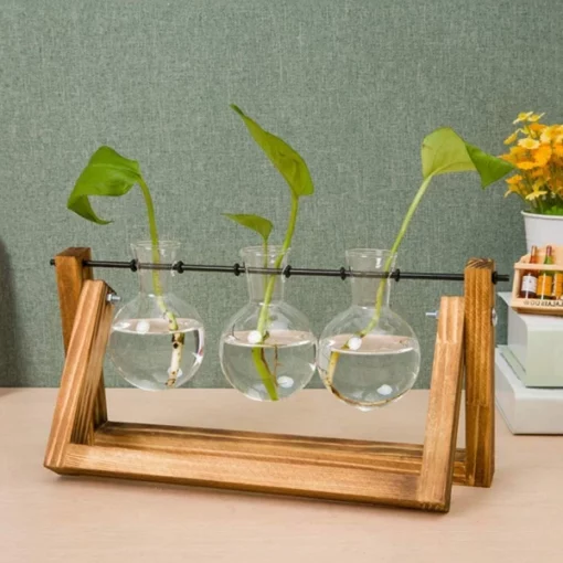 Винтиџ хидропонска вазна за растенија