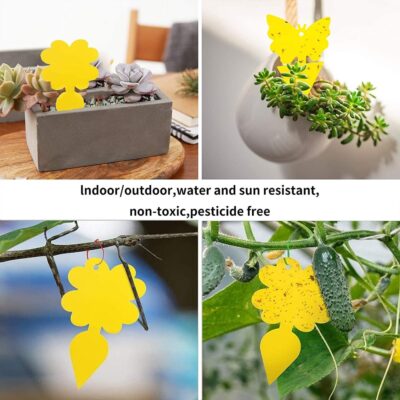 Dual-Sided Sticky insect Trap