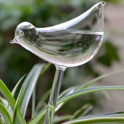 自浇水植物玻璃鸟灯泡