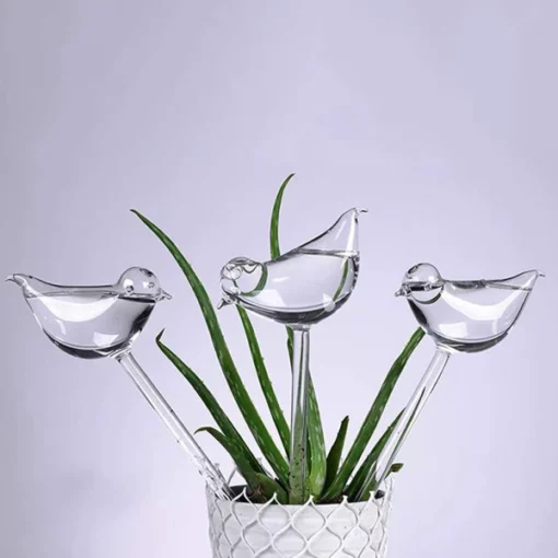 Bulbes d'ocells de vidre de plantes autoregables