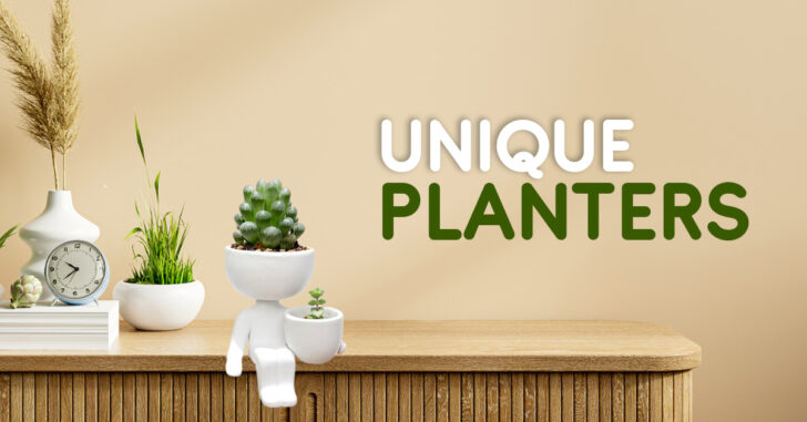 17 Unique Planters for Indoor, Outdoor, Balcony & Roofs Décor