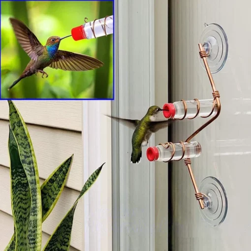 Ablak kolibri etető