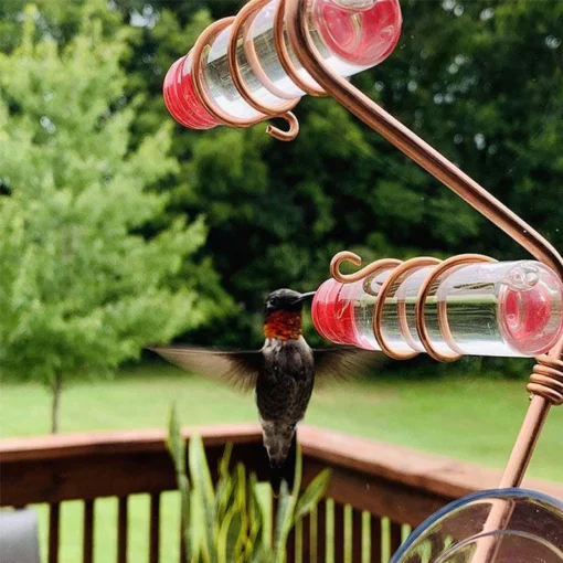 Window Hummingbird oziqlantiruvchi