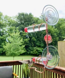 Window Hummingbird Feeder