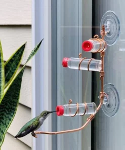 Window Hummingbird Feeder