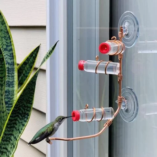Прозоречна хранилка за колибри