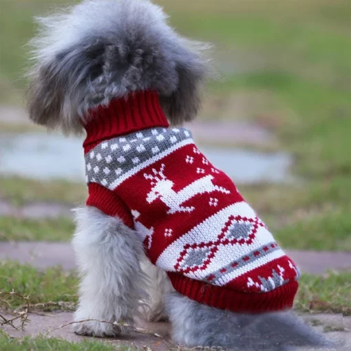 Žavingas šuns elnio kostiumas Kalėdoms