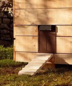 Automatic Chicken Coop Door