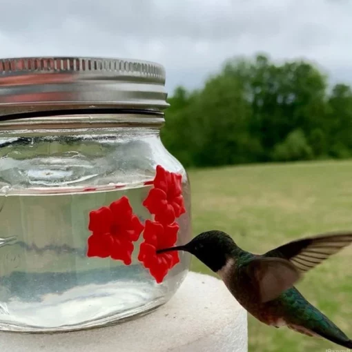 Kolibri-Feeder Kunststoff-Blumen-Vogel-Feeder