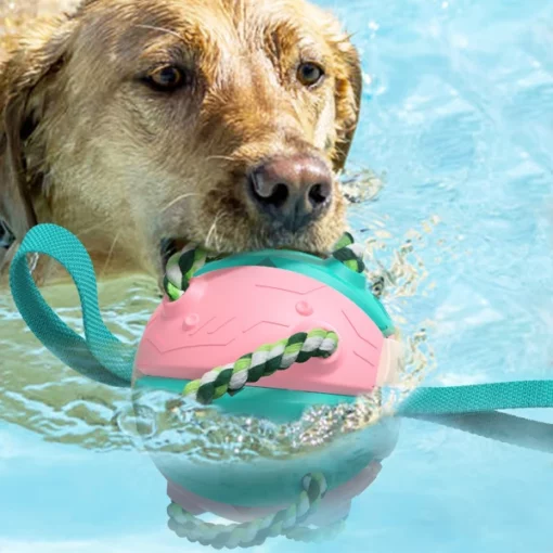 Juguete interactivo para perros que rebota Frisbee Ball