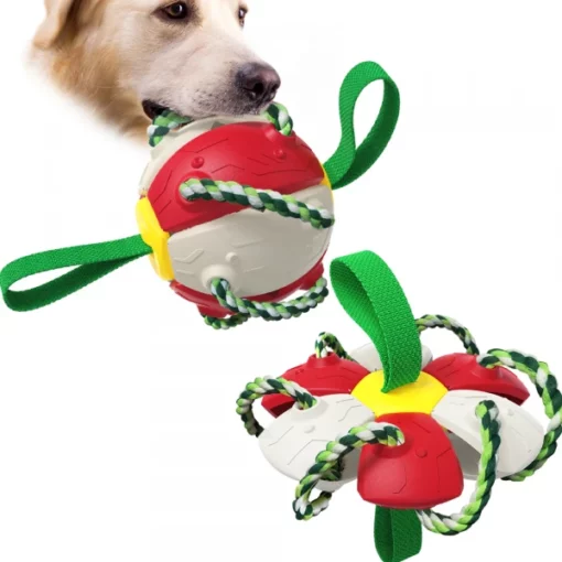 Bouncing Frisbee Ball Interactive Dog Toy