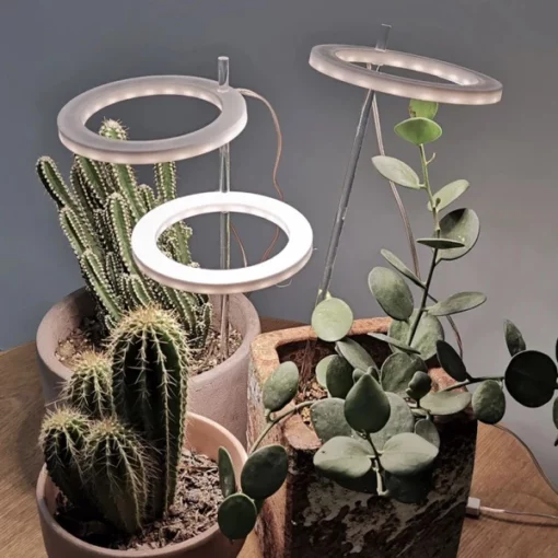 Cultivați lumini pentru plante de interior