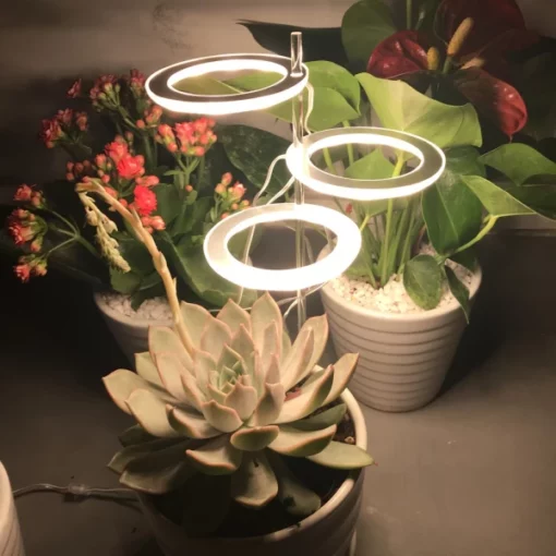 Cultivați lumini pentru plante de interior