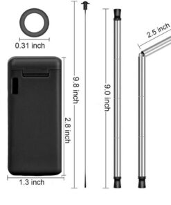 Collapsible Stainless Steel Straw with Case