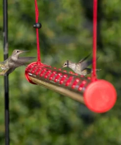 Leak-Proof Hummingbird Water Feeder