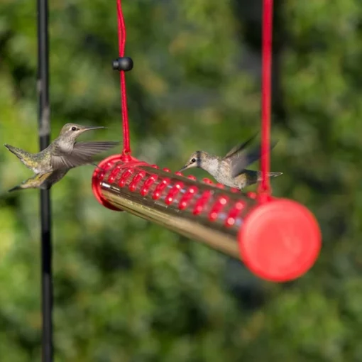 Lekvrije Hummingbird Water Feeder