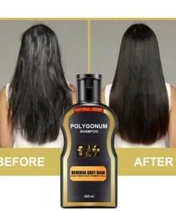 Natural Herbs Polygonum Shampoo