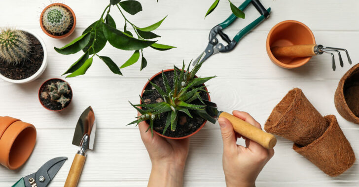 38 Valuable Gifts For Indoor Gardeners Who Are Doing Their Bit To Save The Environment