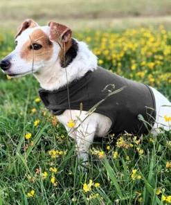 Anti-Anxiety Dog Vest