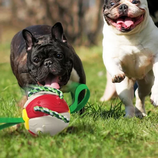Interaktívna hračka pre psov s skákacími loptičkami Frisbee