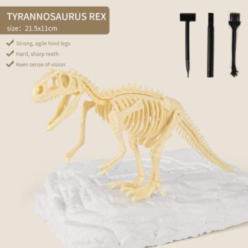 Prispel komplet za kopanje fosilov dinozavrov