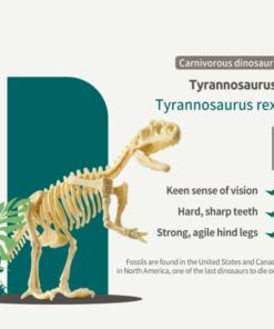 Arrival Dinosaur Fossil Digging Kit