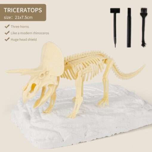 Kit de excavación de fósiles de dinosaurios de llegada