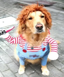 Halloween Dog Costumes