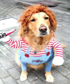 Halloween Dog Costumes