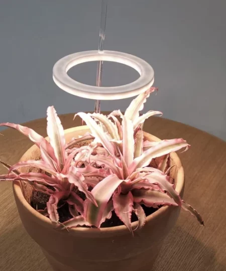 Grow Lights For Indoor Plants