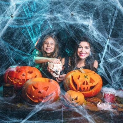 Halloween Decorative Spider Web