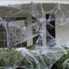 Halloween Decorative Spider Web