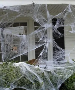Halloween Decorative Spider Web