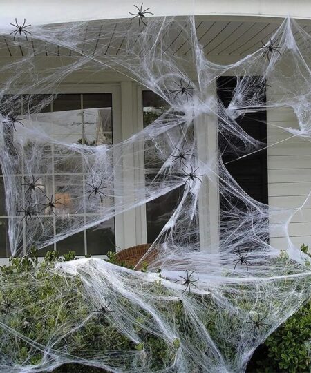 Halloween Decorative Spider Web