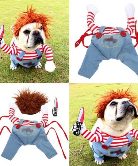 Halloween Dog Costumes