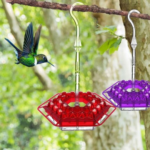 Mary's Hummingbird Feeder With Perch And Builtin Ant Moat Buy Today
