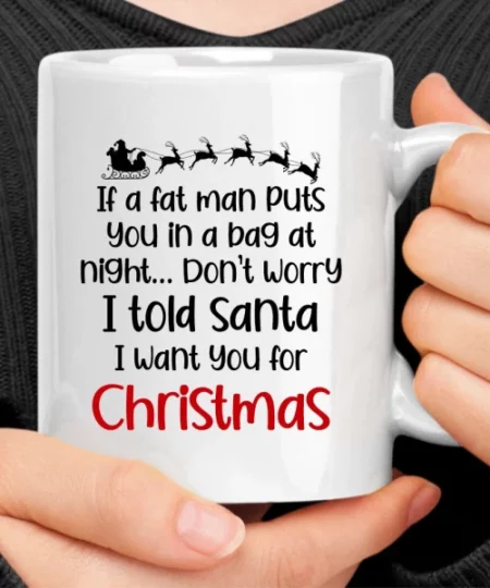 I Told Santa I Want You For Christmas Mug
