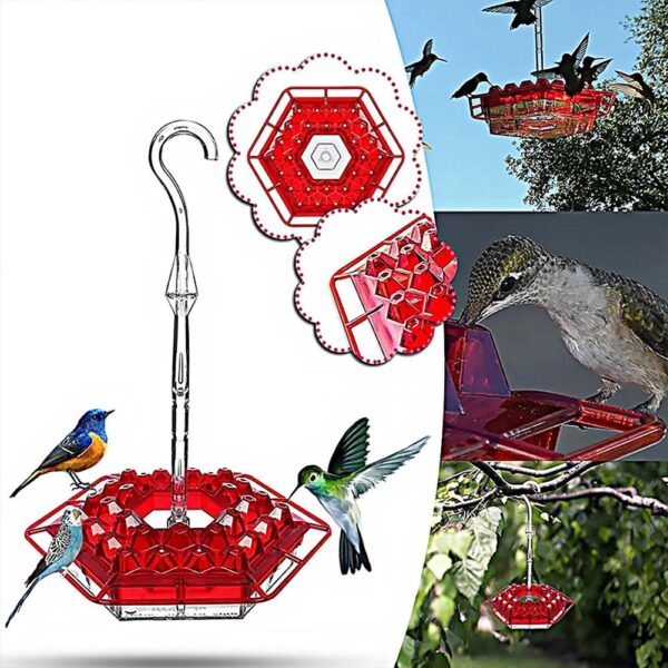 Mary's Hummingbird Feeder With Perch And Builtin Ant Moat Buy Today