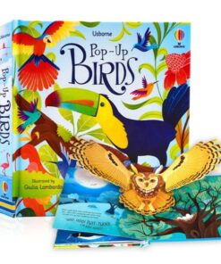 Pop-Up Fairy Tales 3D Picture Book