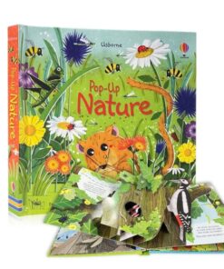 Pop-Up Fairy Tales 3D Picture Book