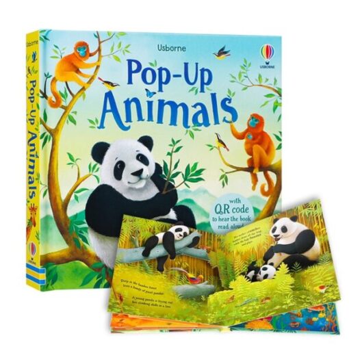 Pop-Up Fairy Tales 3D Book Book