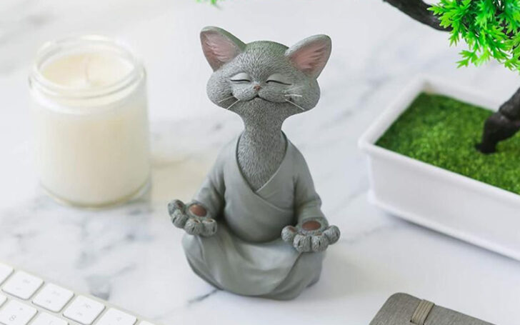 Inexpensive Gifts For Cat Lovers