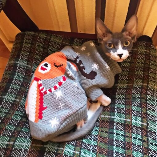 冬のニット猫服