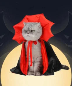 Vampire Cat Halloween Costume