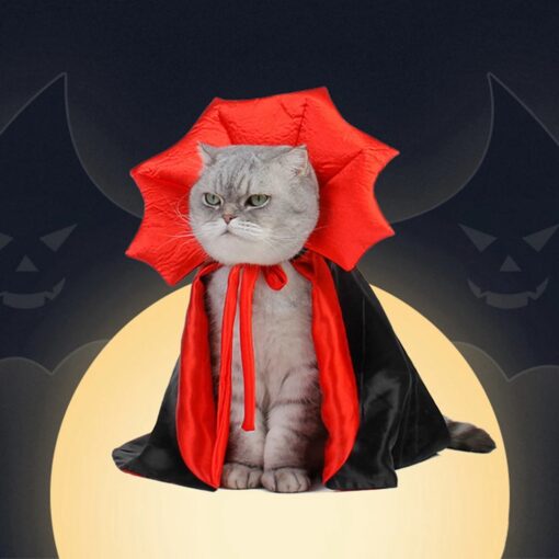 Kostum Halloween Kucing Vampir